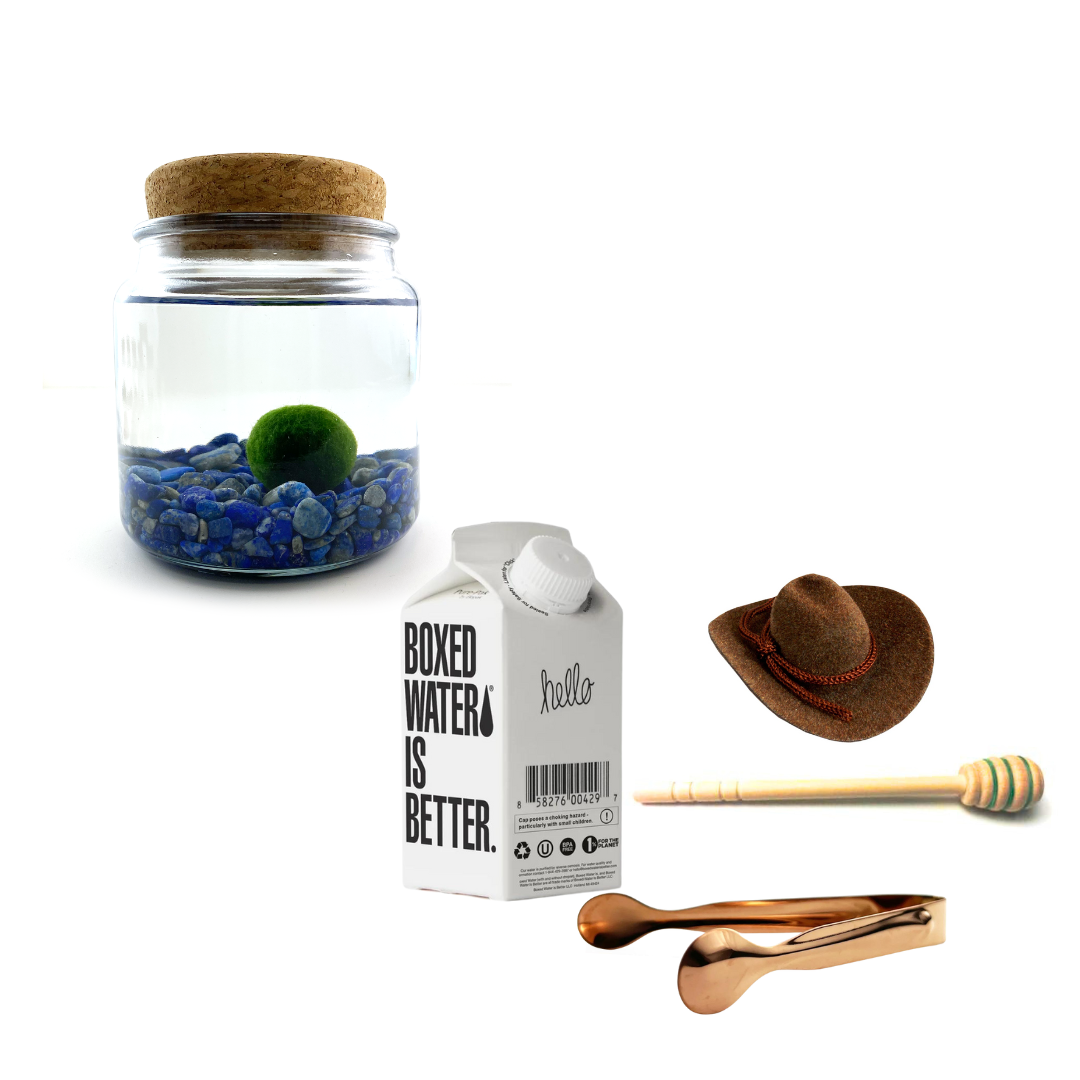 Combo Lapis Lazuli Moss Amigo with brown country hat and rose gold tong.