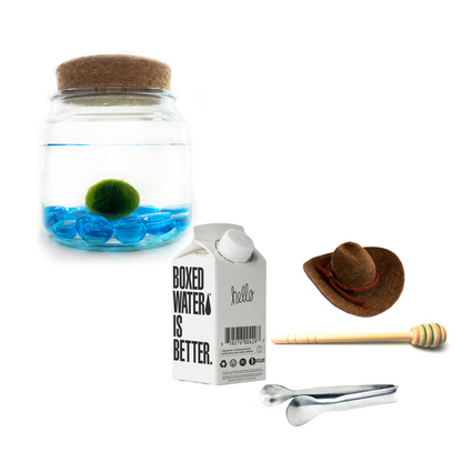 Combo Blue Glass Moss Amigo with Brown country hat and silver tong.