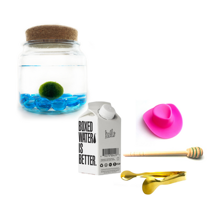 Combo Blue Glass Moss Amigo with pink country hat and gold tong.