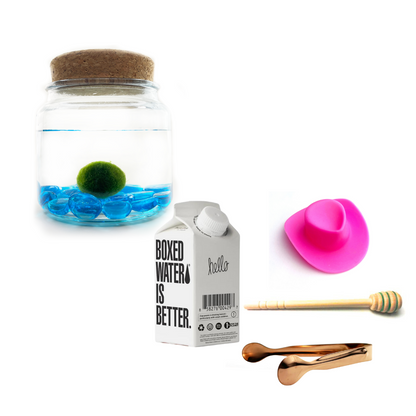 Combo Blue Glass Moss Amigo with pink country hat and rose gold tong.