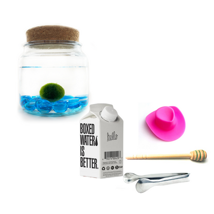 Combo Blue Glass Moss Amigo with pink country hat and silver tong.