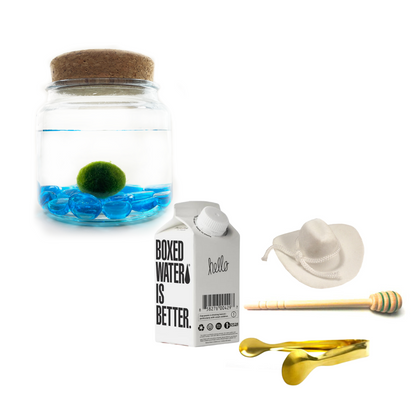 Combo Blue Glass Moss Amigo with white country hat and gold tong.