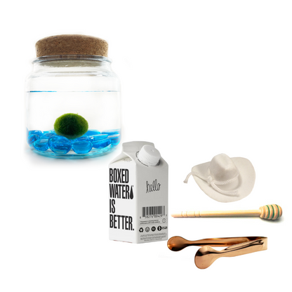 Combo Blue Glass Moss Amigo with white country hat and rose gold tong.