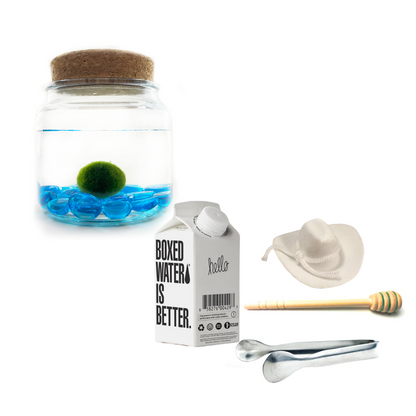 Combo Blue Glass Moss Amigo with white country hat and silver tong.
