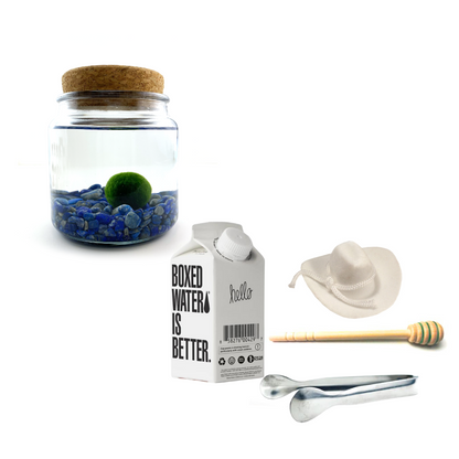 Combo Lapis Lazuli Moss Amigo with white country hat and silver tong.