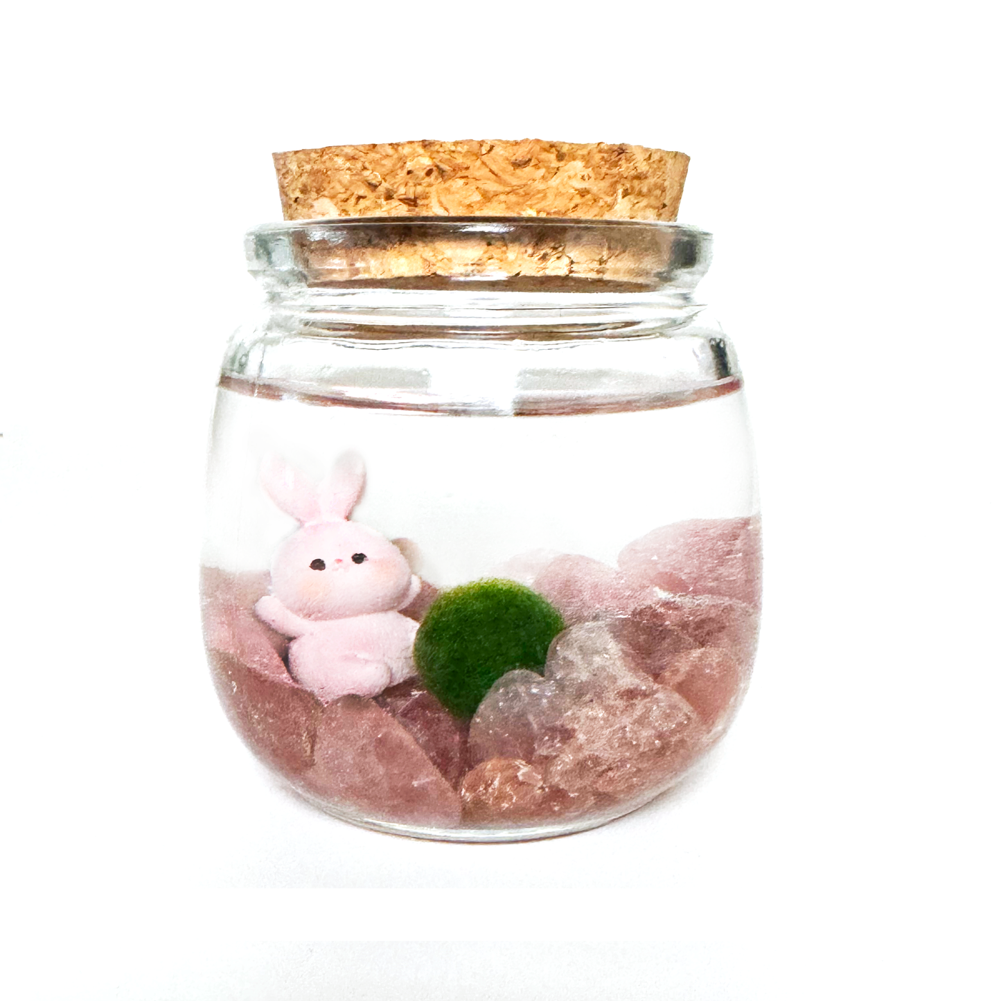 Jar Pets