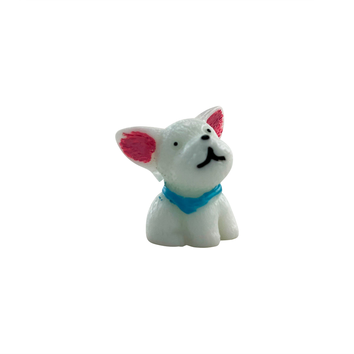 Chihuahua Jar pet accessory