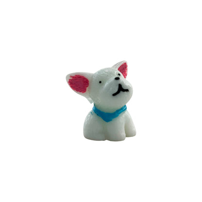 Chihuahua Jar pet accessory