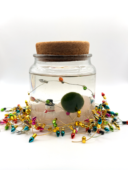 Seasonal Decor