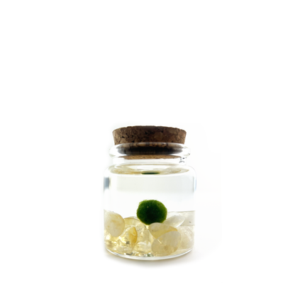 Moss Rico with Citrine gemstones.