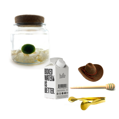 Combo Citrine Moss Amigo with brown country hat and gold tong.