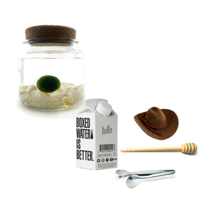 Combo Citrine Moss Amigo with brown country hat and silver tong.