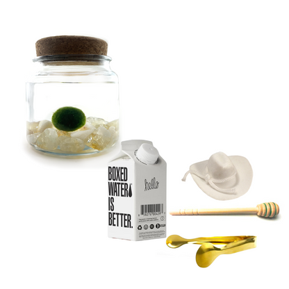 Combo Citrine Moss Amigo with white country hat and gold tong.
