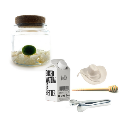 Combo Citrine Moss Amigo with white country hat and silver tong.