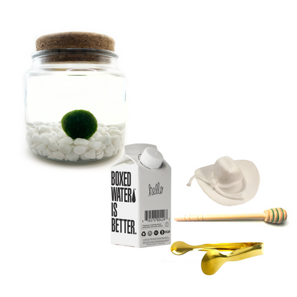 Combo Classic Moss Amigo with White country hat and gold tong.