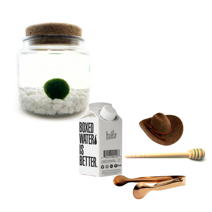 Combo Classic Moss Amigo with rose gold tong.