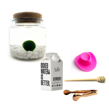 Combo Classic Moss Amigo with pink country hat and rose gold tong.