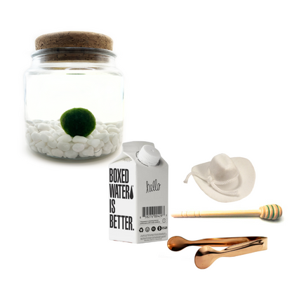 Combo Classic Moss Amigo with White country hat and Rose gold tong.