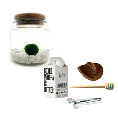 Combo Classic Moss Amigo with Silver tong.