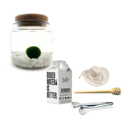 Combo Classic Moss Amigo with White country hat and silver tong.