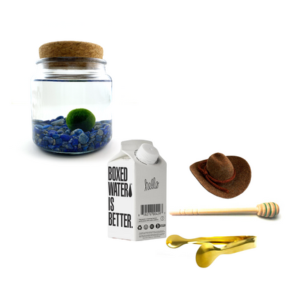Combo Lapis Lazuli Moss Amigo with brown country hat and gold tong.