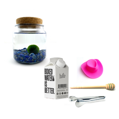 Combo Lapis Lazuli Moss Amigo with pink country hat and silver tong.