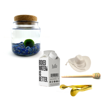 Combo Lapis Lazuli Moss Amigo with white country hat and gold tong.