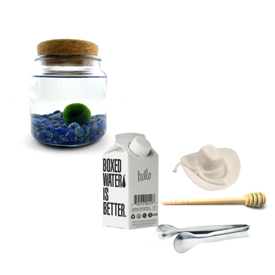Combo Lapis Lazuli Moss Amigo with white country hat and silver tong.
