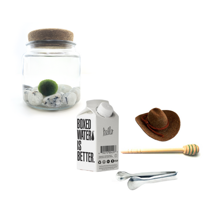 Combo Moonstone Moss Amigo with brown country hat and silver tong.
