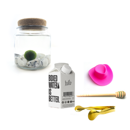 Combo Moonstone Moss Amigo with pink country hat and gold tong.