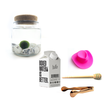 Combo Moonstone Moss Amigo with pink country hat and rose gold tong.