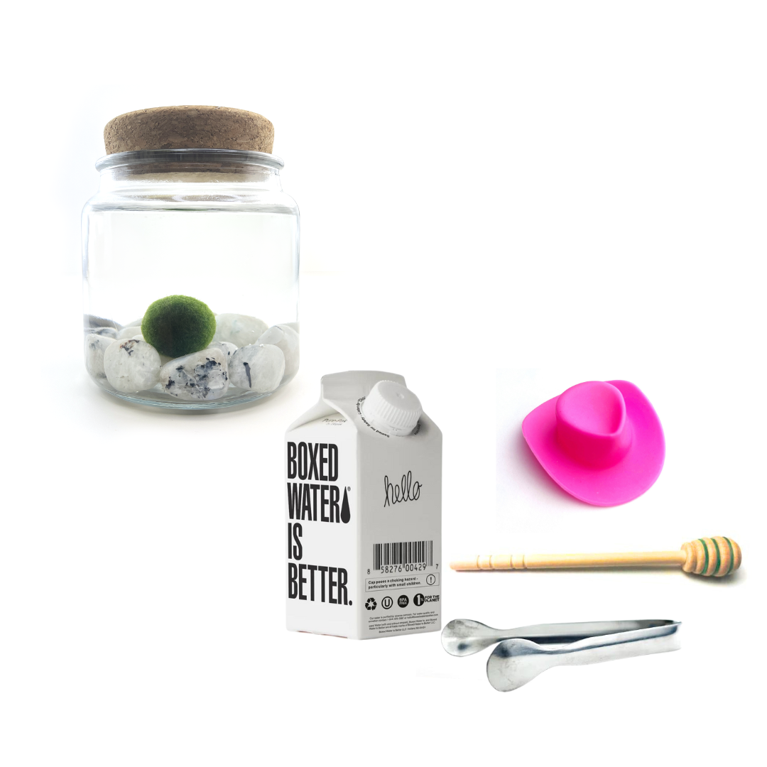 Combo Moonstone Moss Amigo with pink country hat and silver tong.