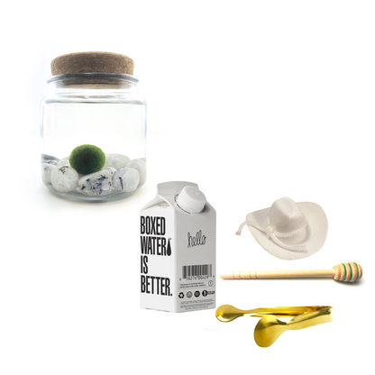 Combo Moonstone Moss Amigo with white country hat and Gold tong.