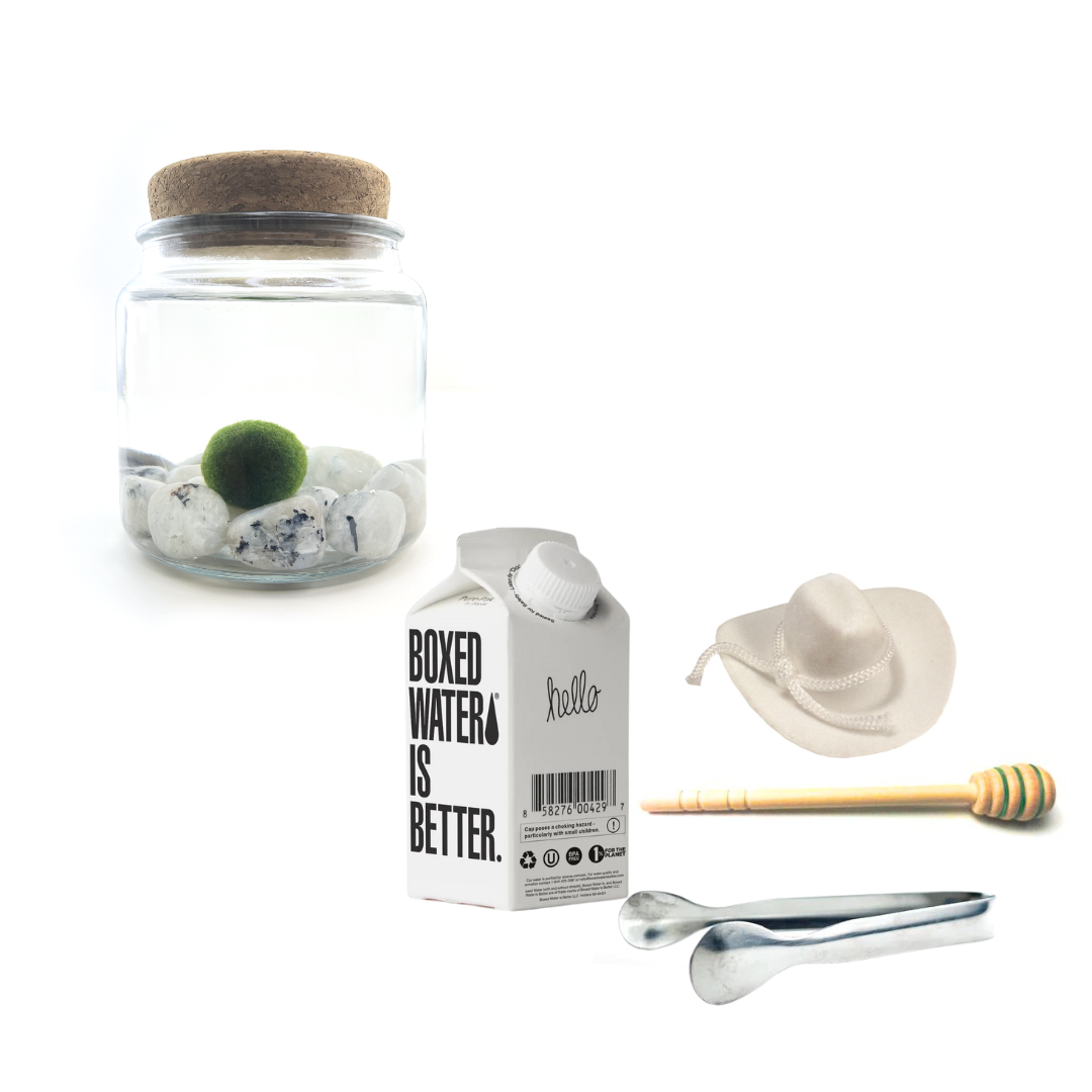 Combo Moonstone Moss Amigo with white country hat and silver tong.