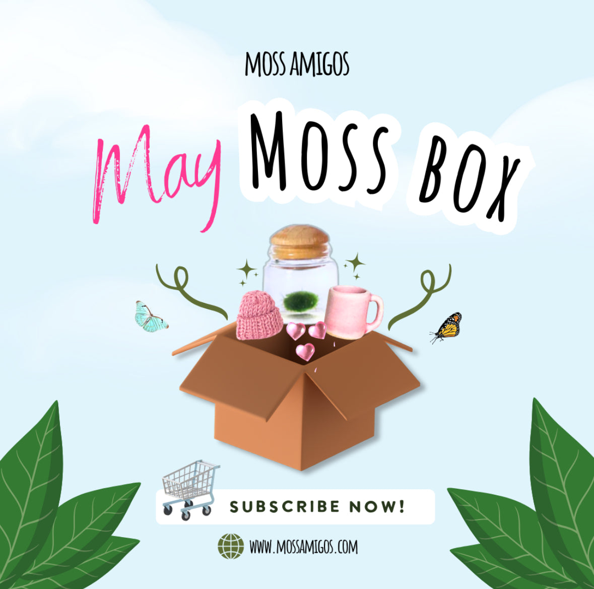 Moss Box