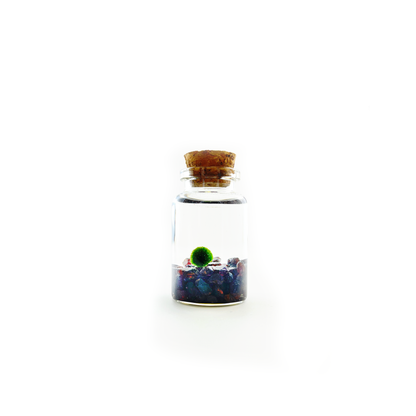 Close-up of Moss Nino with Garnet gemstone in a Nino Jar.