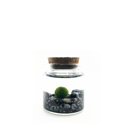 Moss Rico with Gothic Quartz gemstones.