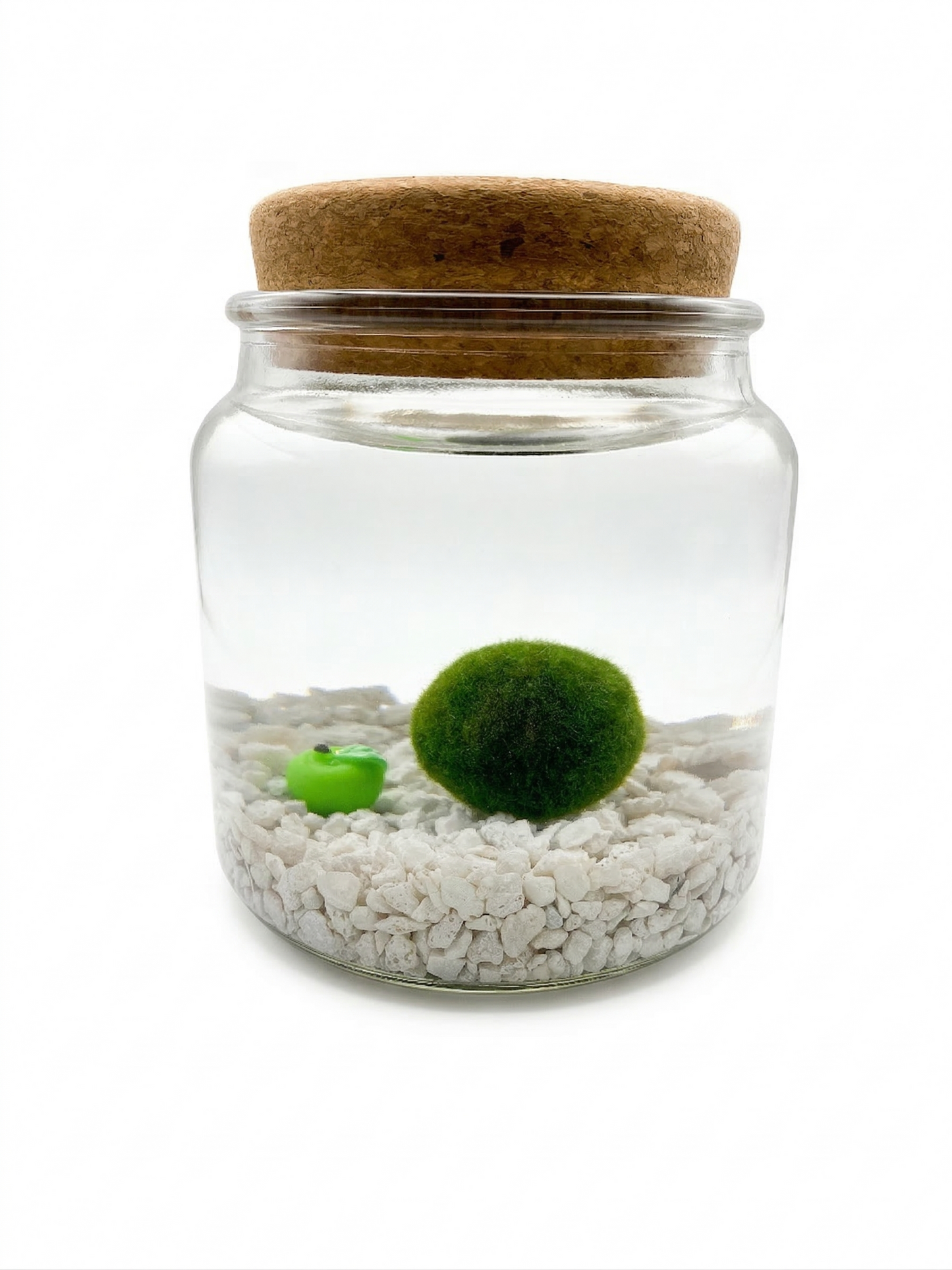 Teacher’s Pet Moss Bundle