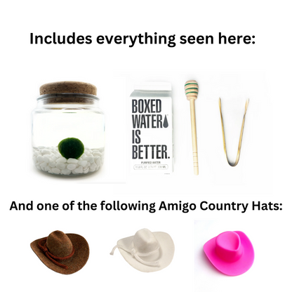 Starter Kit