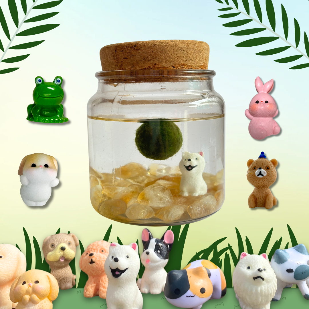 Jar Pets