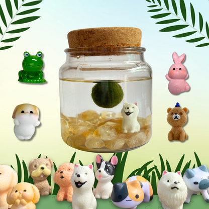 Featured image showcasing Jar Pets accessories
