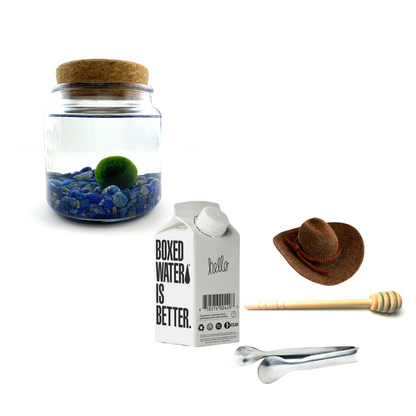 Combo Lapis Lazuli Moss Amigo with brown country hat and silver tong.