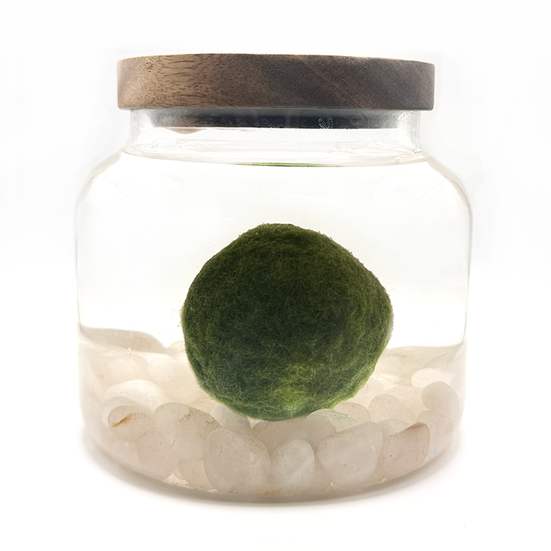 Mega Moss Rose Quartz