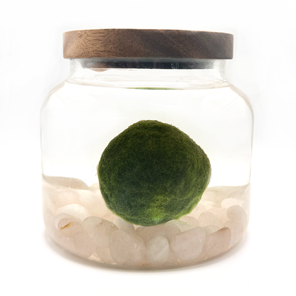 Mega Moss Rose Quartz