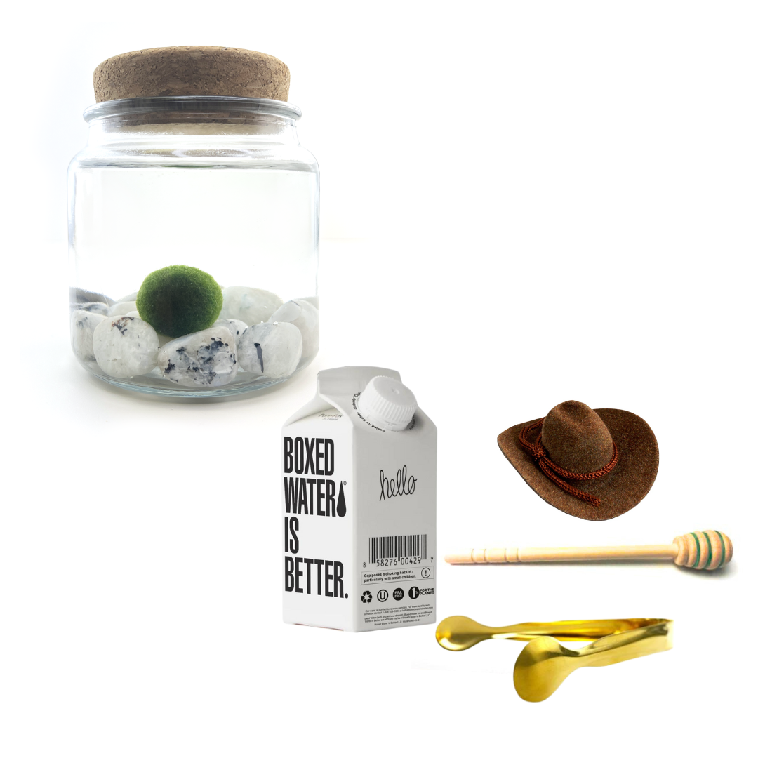 Combo Moonstone Moss Amigo with brown country hat and gold tong.