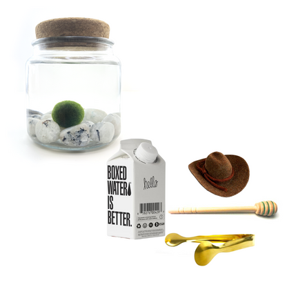 Combo Moonstone Moss Amigo with brown country hat and gold tong.