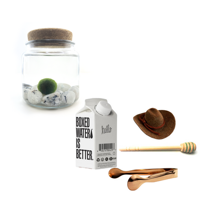 Combo Moonstone Moss Amigo with brown country hat and rose gold tong.