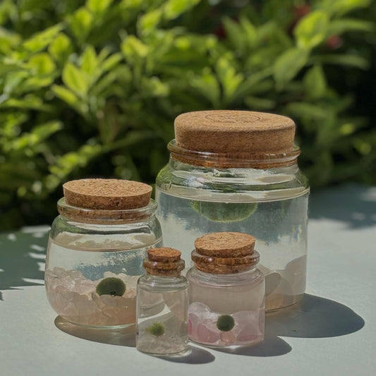 Rose Quartz Moss Family Combo