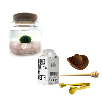 Combo Rose Quartz Moss Amigo with brown country hat and gold tong.