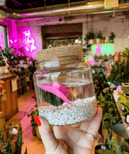 Front view of Moss Amigo terrarium featuring classic gemstone